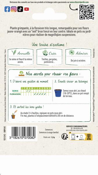 Fleurs - Thunbergia Alata Suzanne aux Yeux Noirs - MEDIA_PACKAGING_VERSO